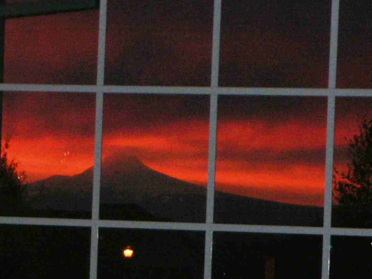 13403 Sw Essex Dr - Photo 2 of 16