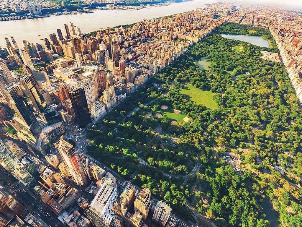 206 East 70th Street - Photo 3 of 13