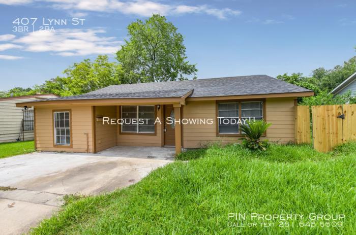 407 Lynn St - Photo 2 of 19