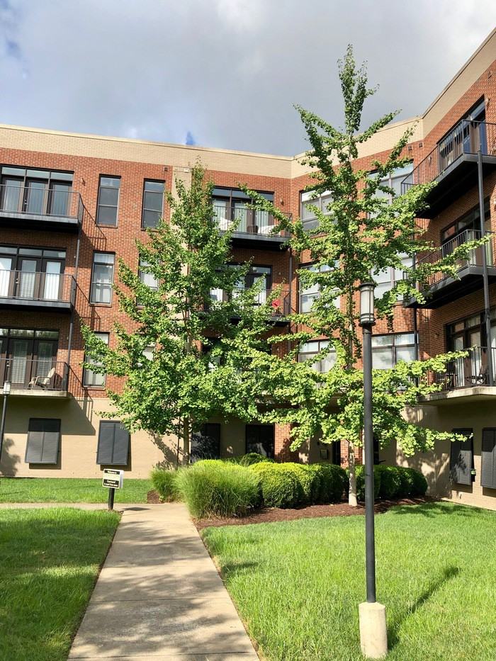 817 3rd Avenue North #408