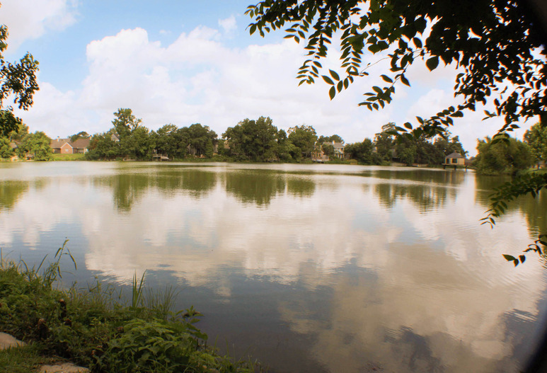 Cypress Park Apartments - Photo 5 of 79