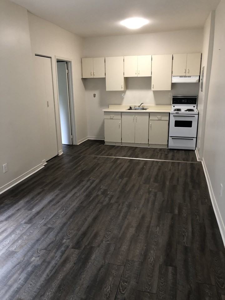 137 Bruce Avenue, Windsor, ON N9A 5M2 1 Bedroom Apartment for 850