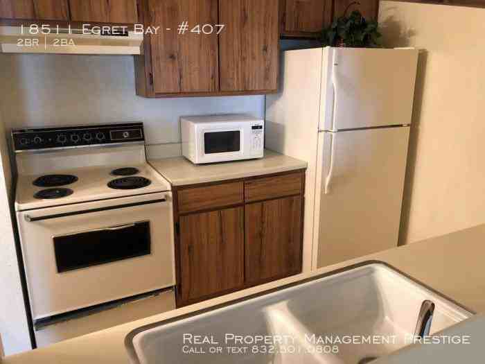 18511 Egret Bay Condos - Photo 3 of 10