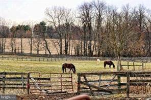 15475 Old Frederick Road - Photo 3 of 30