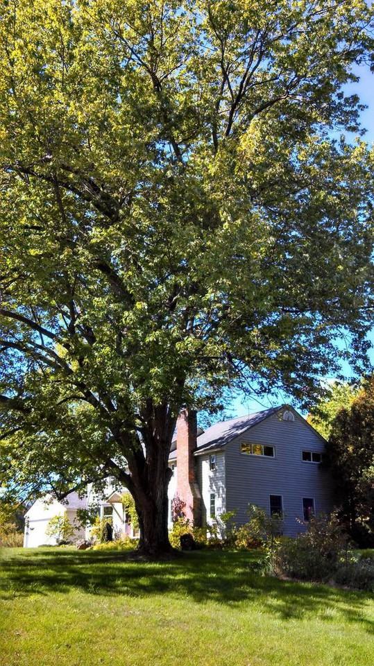 1280 Eastern Avenue - Photo 2 of 22
