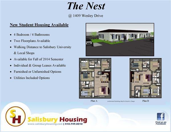 The Nest - Photo 3 of 3