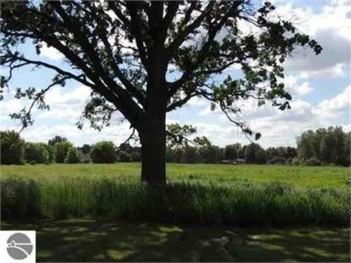 3950 McGuirk St - Photo 3 of 15