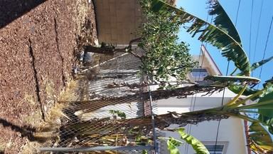 3957 Marine View Ave #B - Photo 3 of 11