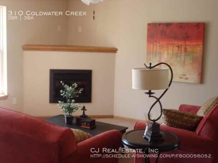 310 Coldwater Creek - Photo 2 of 8