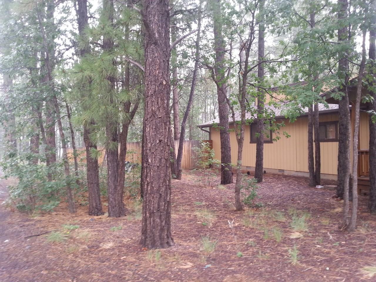 2077 Wild Oak Trail Ln - Photo 3 of 7