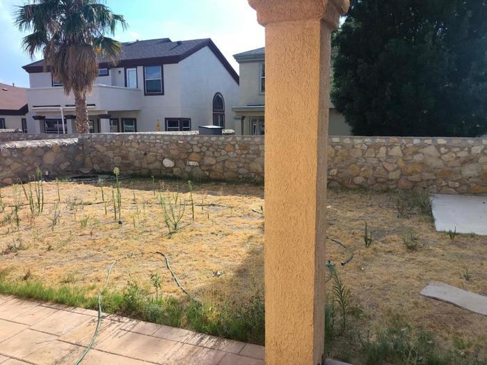 3629 Lantana Lane - Photo 3 of 24