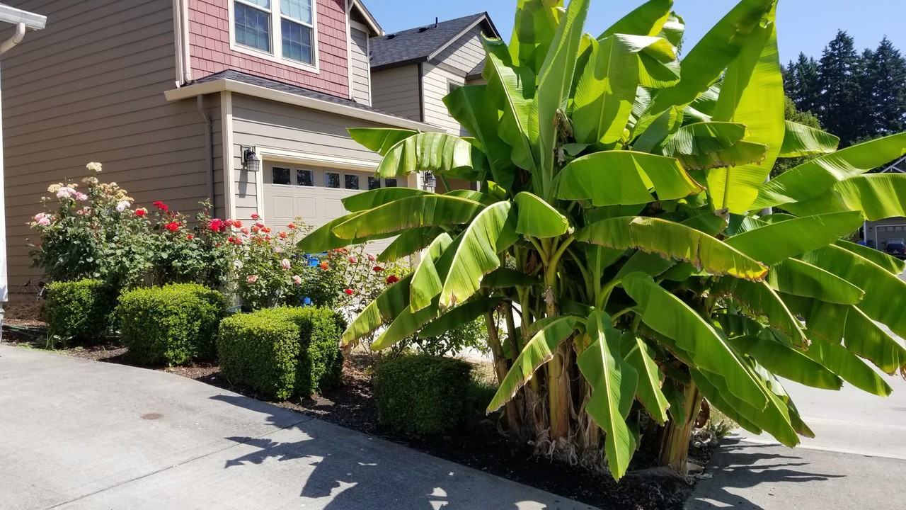 7412 Northeast 58th Way - Photo 2 of 9