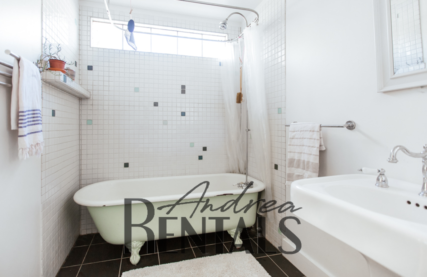 261 Mather Street - Photo 2 of 11