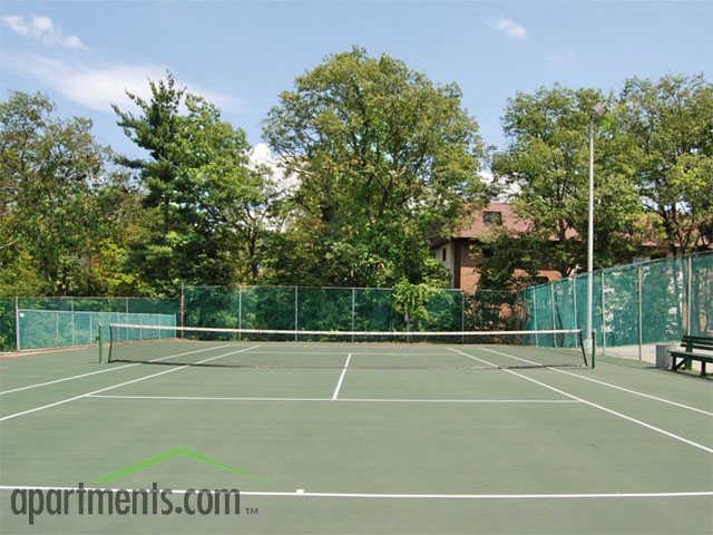 Mediterranean Woods - Photo 3 of 24