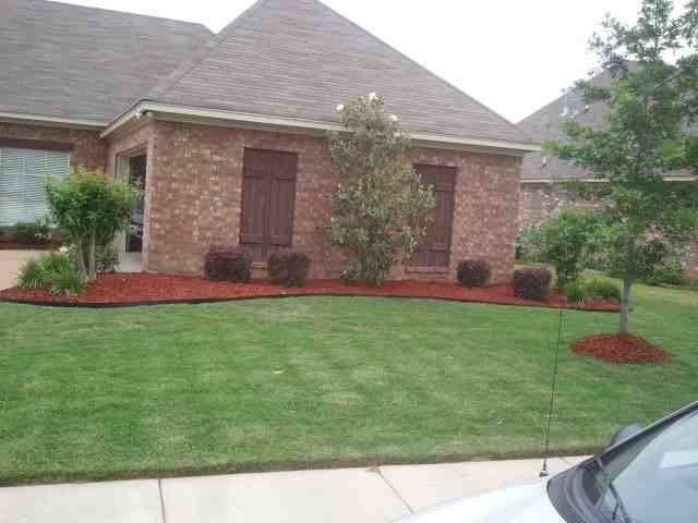 141 Creekside Drive - Photo 3 of 16