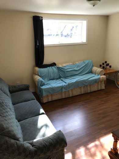 50A Thorburn Rd – Room Available in Newly Renovated Bsmt Apt - Photo 3 of 5