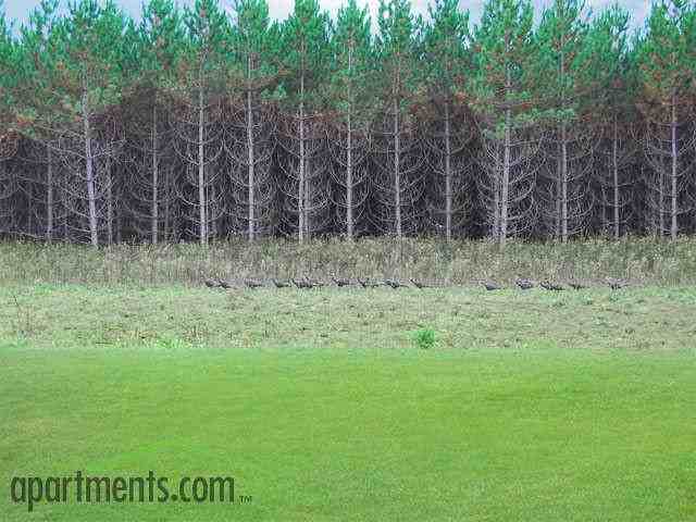 Country Meadows - Photo 2 of 7