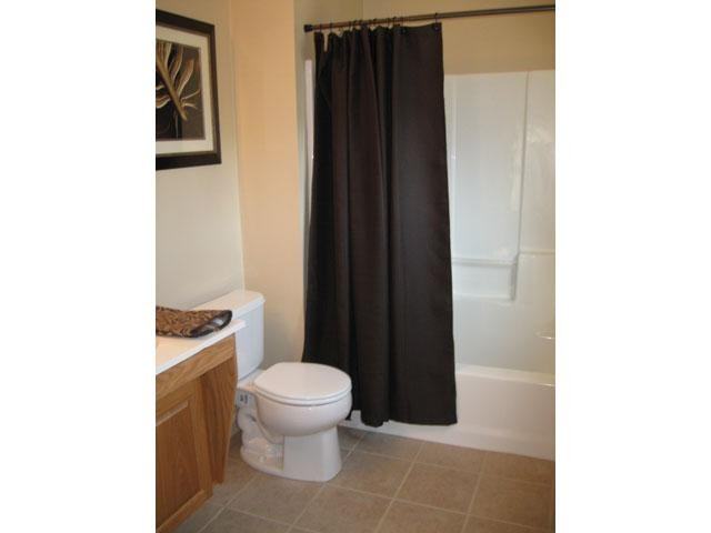 Chestnut Park Apartments - Photo 3 of 12