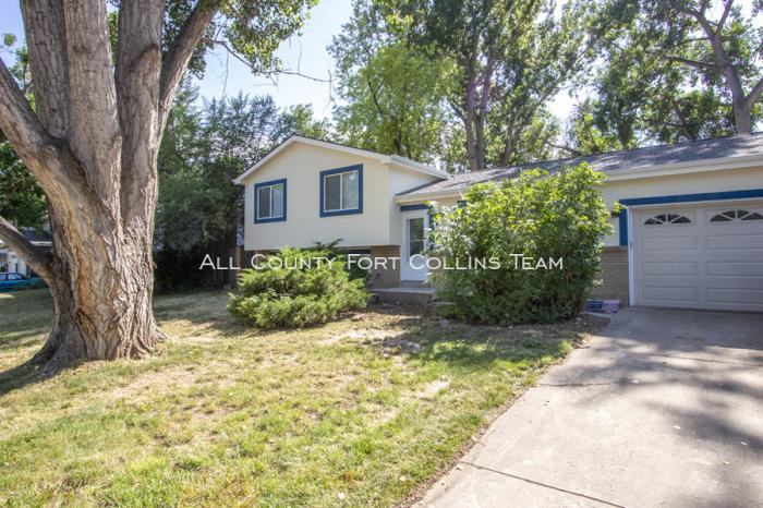 2913 Ringneck - Photo 2 of 17