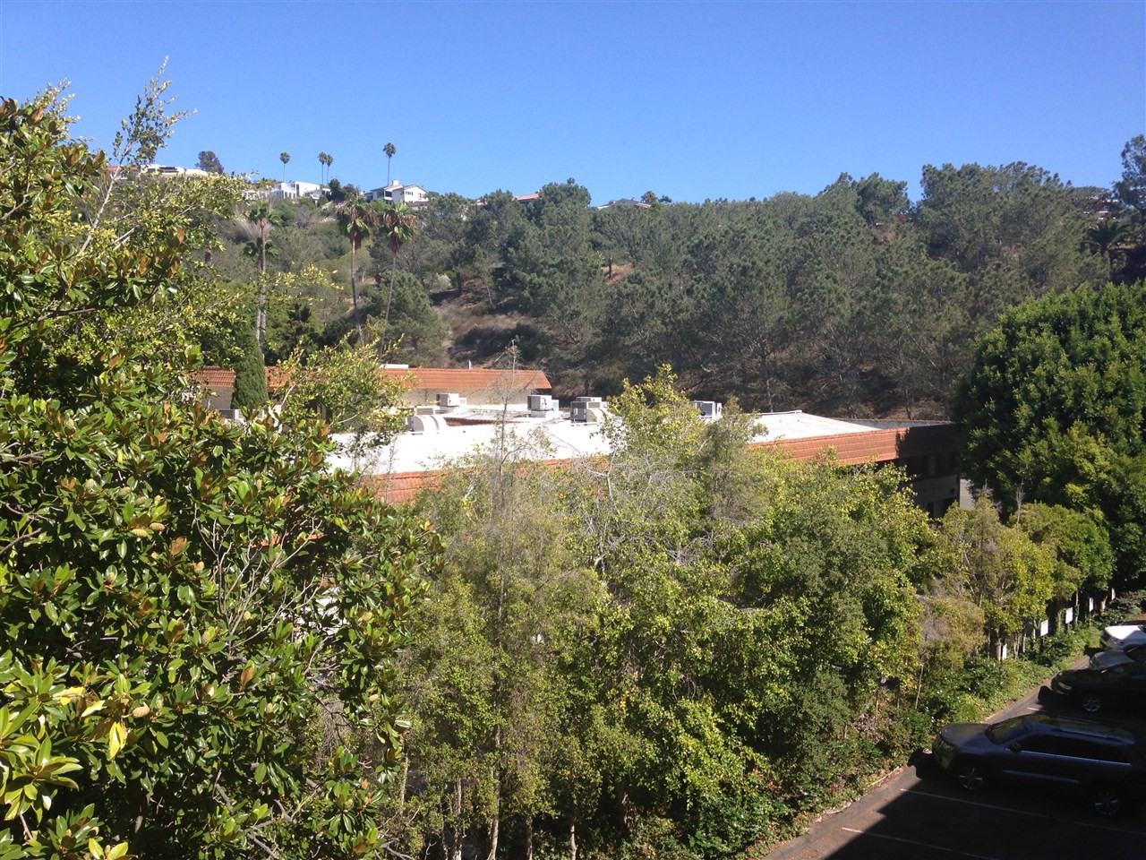 2510 Torrey Pines Rd 411 - Photo 3 of 10