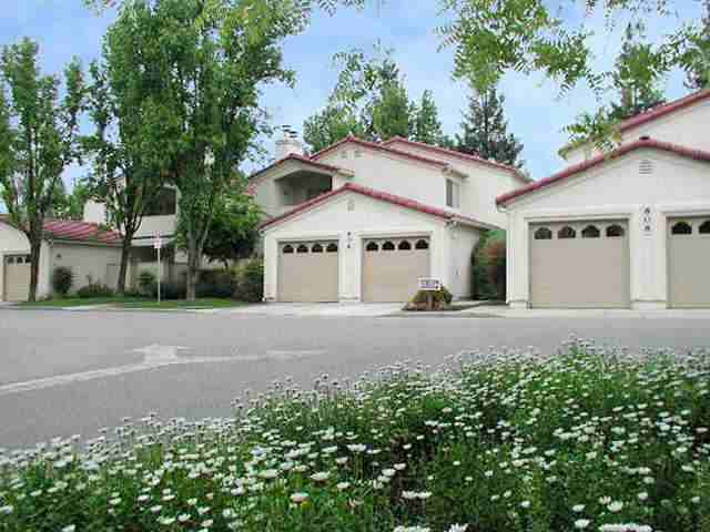 Golden Oak - Photo 2 of 12