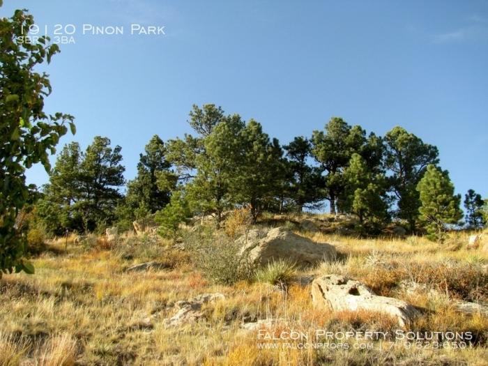 19120 Pinon Park - Photo 2 of 17