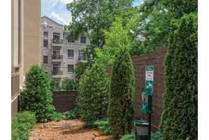 1045 on the Park Apartment Homes - Photo 3 of 22