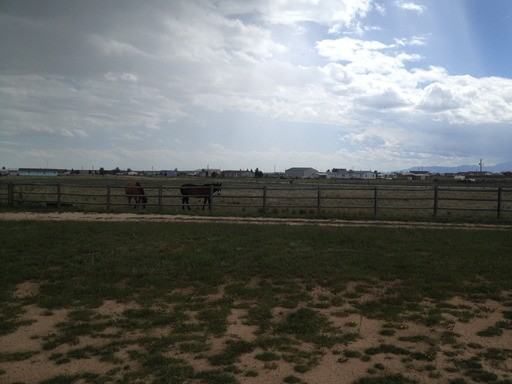 9955 Horseback Trail - Photo 2 of 6