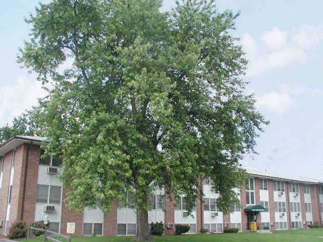 Northtown Apartments E 6th St, Des Moines, IA 50309 Zumper