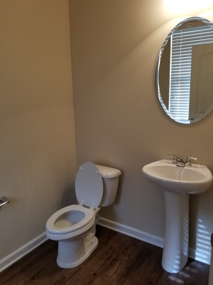 233 Autumn Terrace Lane - Photo 3 of 7