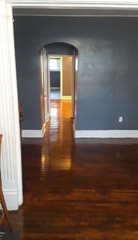 437 W Champlost Ave 1, Philadelphia, PA 19120 1 Bedroom Apartment