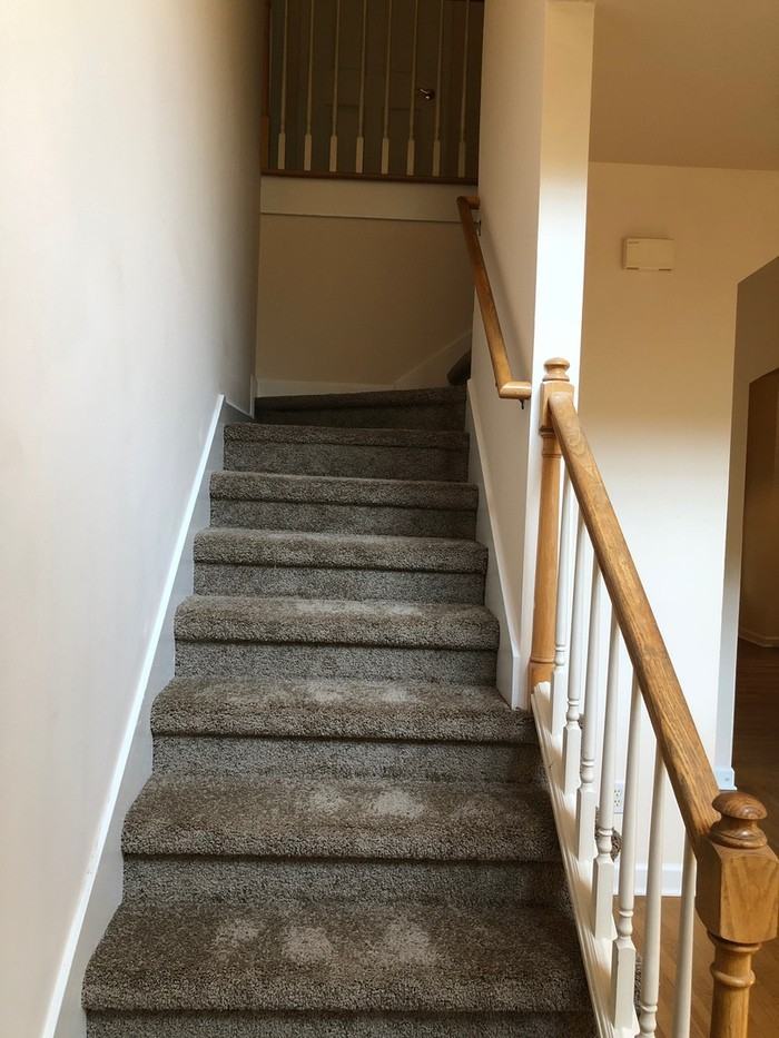 3360 Bell Rd - Photo 3 of 19