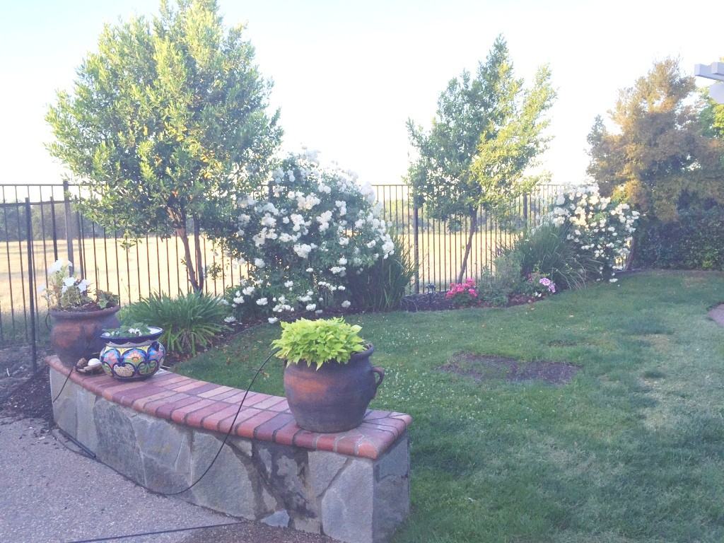 5320 Fenton Way - Photo 3 of 12