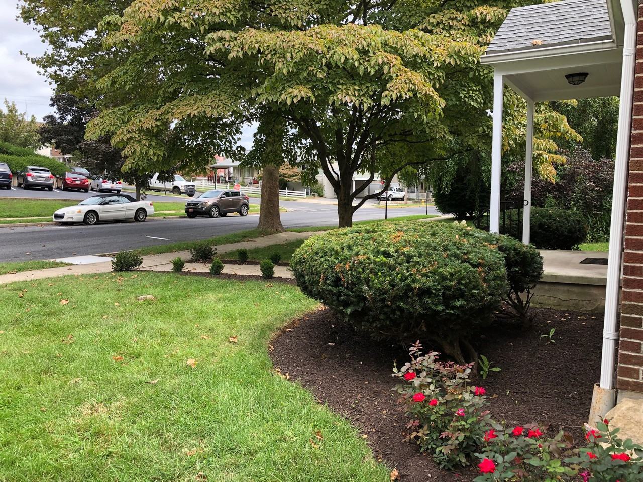 404 Spruce St - Photo 2 of 17