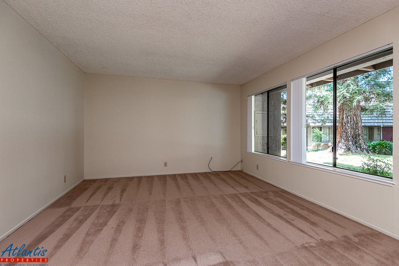 4771 Kings River Court - Photo 3 of 19