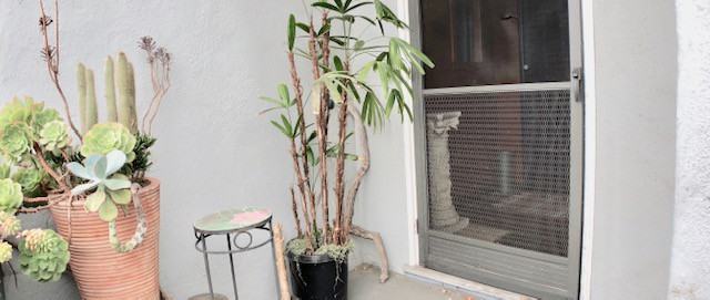 2432 Webb Avenue #A - Photo 3 of 11