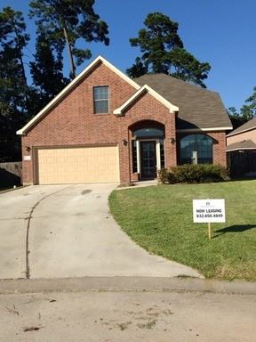 10205 Wood Fern Ct - Photo 3 of 14