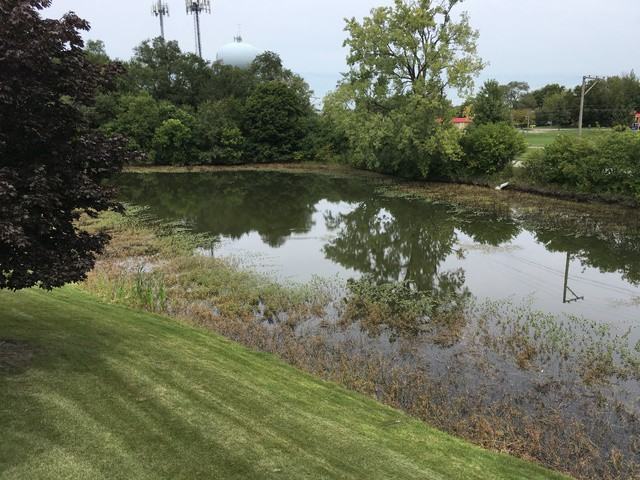 212 Memory #4 - Photo 2 of 13