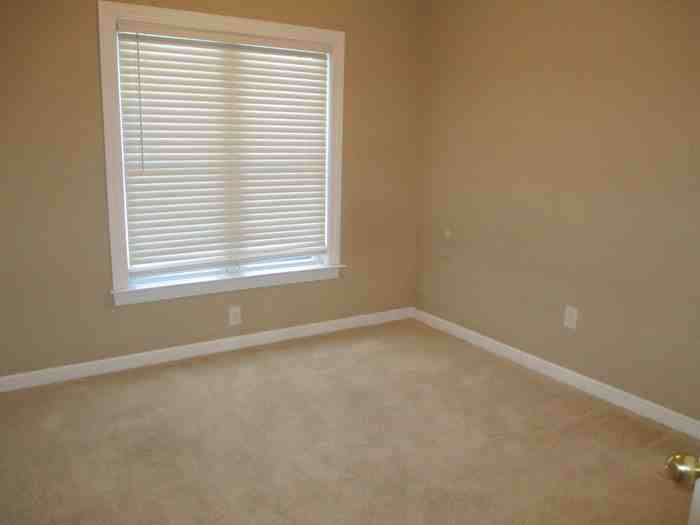 118 Savannah Cir N, Roanoke Rapids, NC 27870 4 Bedroom House for 1,500