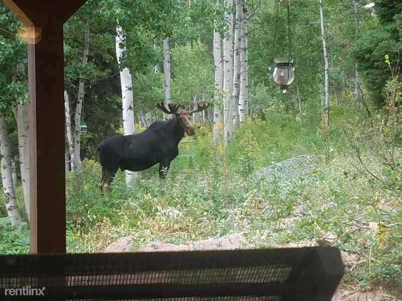 2226 Deer Loop - Photo 3 of 22