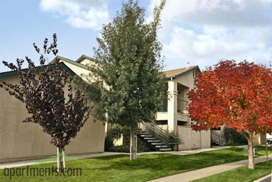Palm Gates Apartments 4290 W San Jose Ave Fresno Ca 93722 Zumper