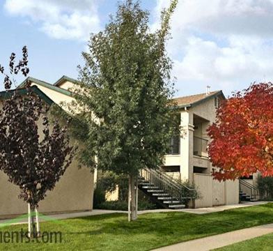 Palm Gates Apartments 4290 W San Jose Ave Fresno Ca 93722 Zumper