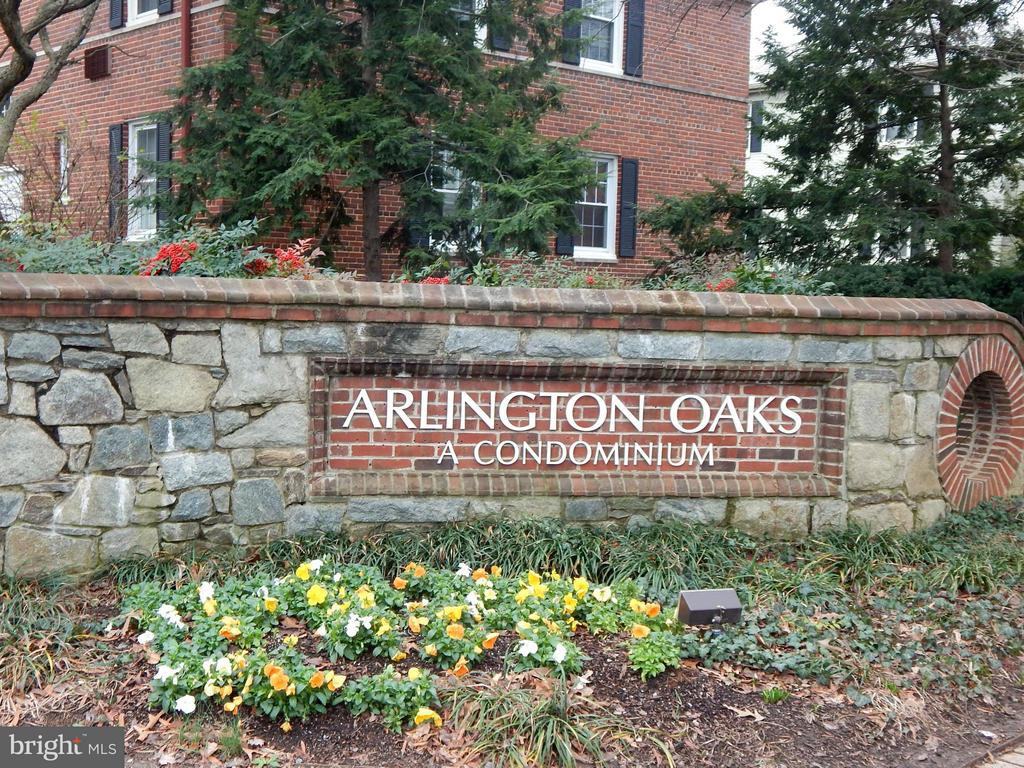 232 George Mason Dr N 232-1 - Photo 3 of 14