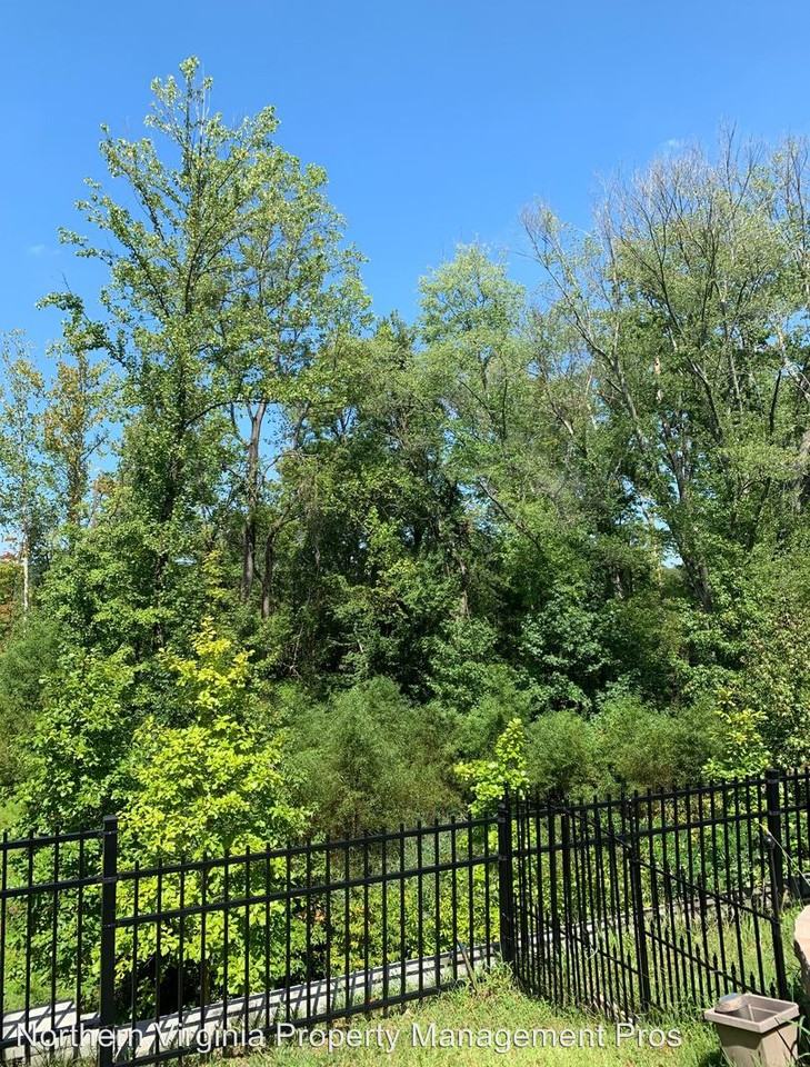 9028 Endicott Place - Photo 2 of 5