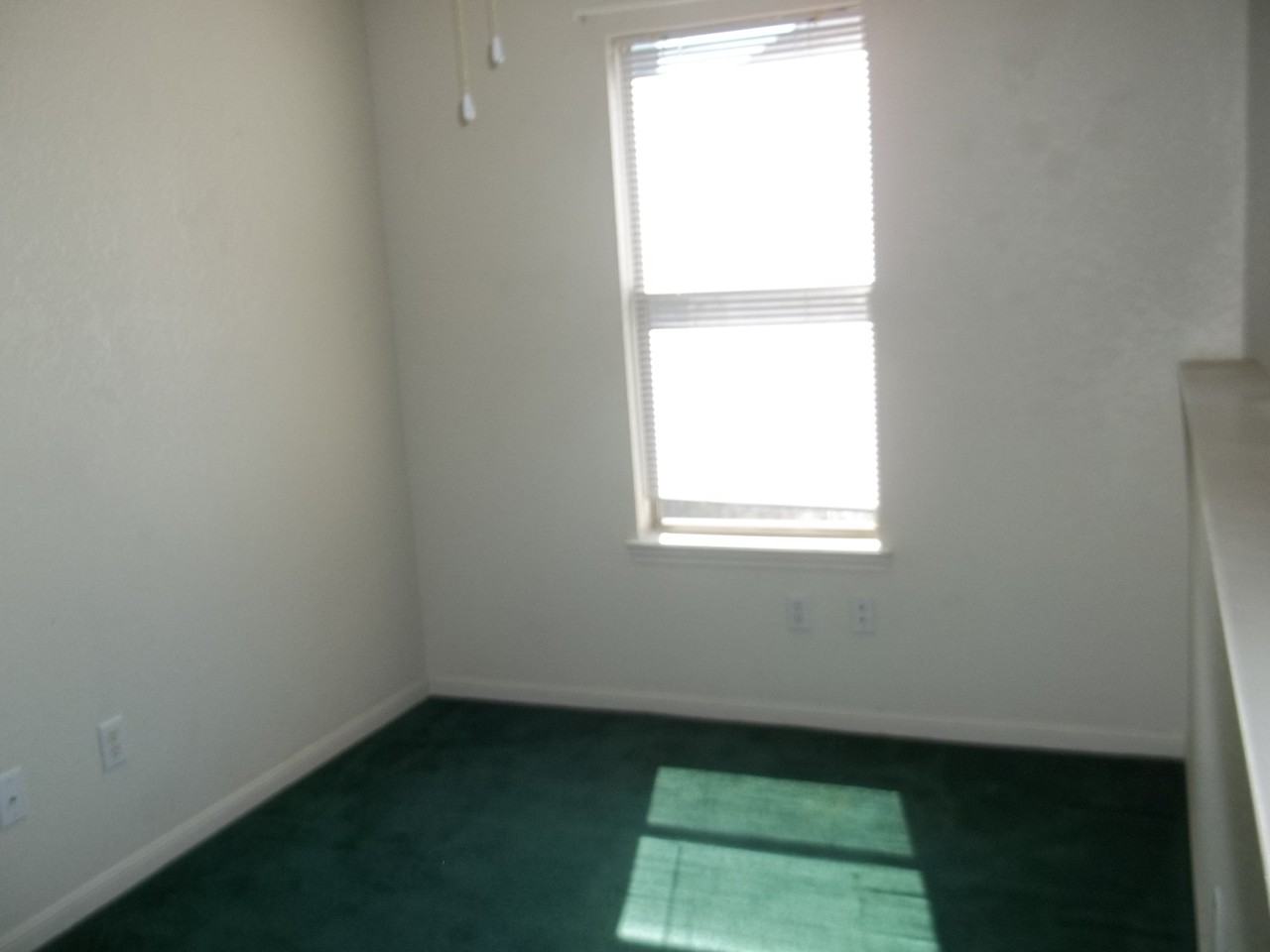 308 Deloris Dr - Photo 6 of 11