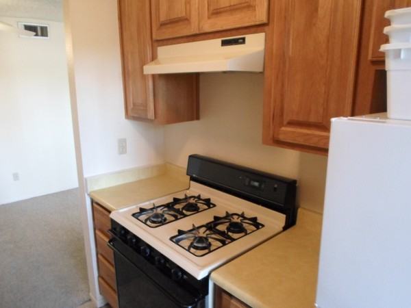 808 S Langley Ave #103 - Photo 6 of 15