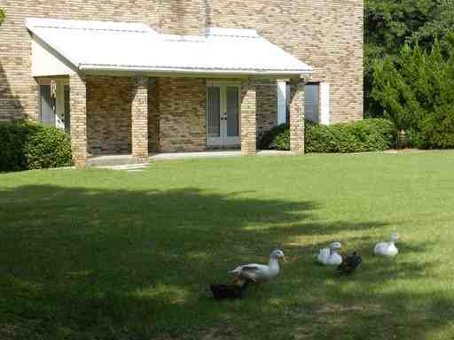 3450 Acy Lowery Rd - Photo 2 of 10