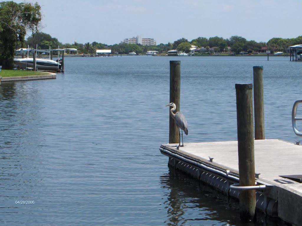 441 37th Avenue Northeast - Photo 2 of 10