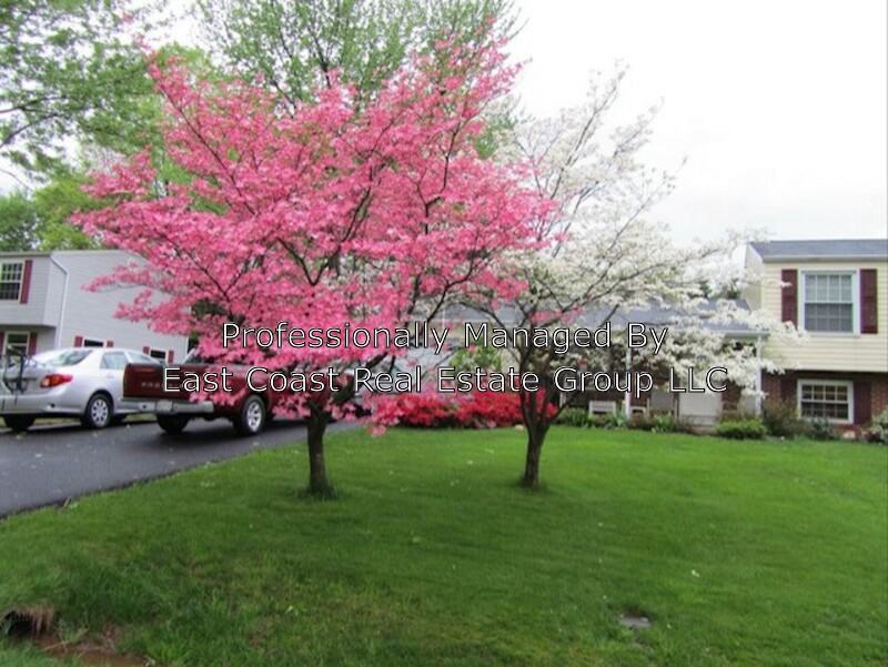 7106 Flint Ct - Photo 2 of 31