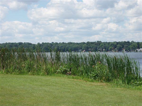 7280 Kenward St - Photo 2 of 19